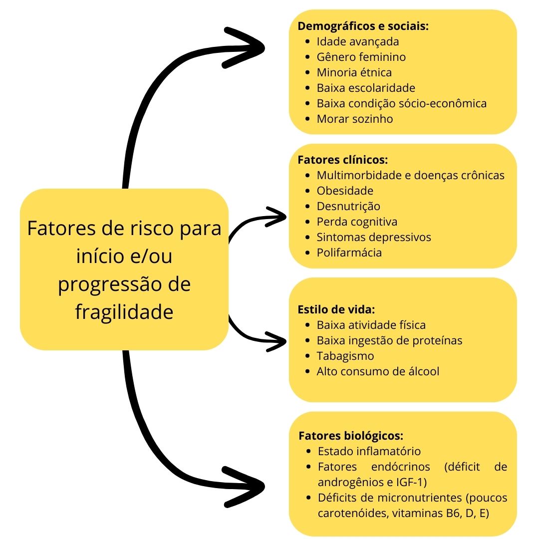 Figura sobre fatores de risco para fragilidade em idosos. Demonstrando fatores demográficos/sociais, clínicos, estilo de vida e biológicos