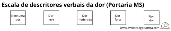 Escala de descritores verbais da dor com cinco itens (Portaria MS)