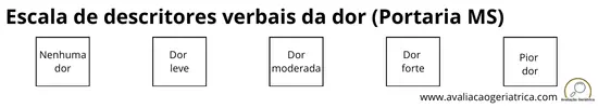 Escala de descritores verbais da dor (Portaria Ministério da Saúde)